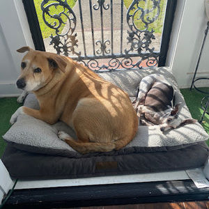 Meet your Posher, Jason